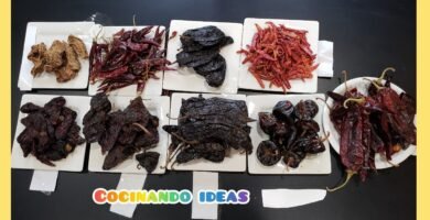 Chile Mulato de Veracruz